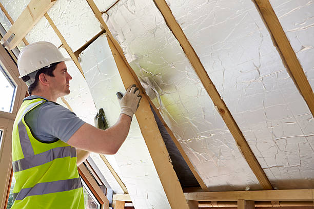 Best Spray Foam Insulation  in South Vacherie, LA